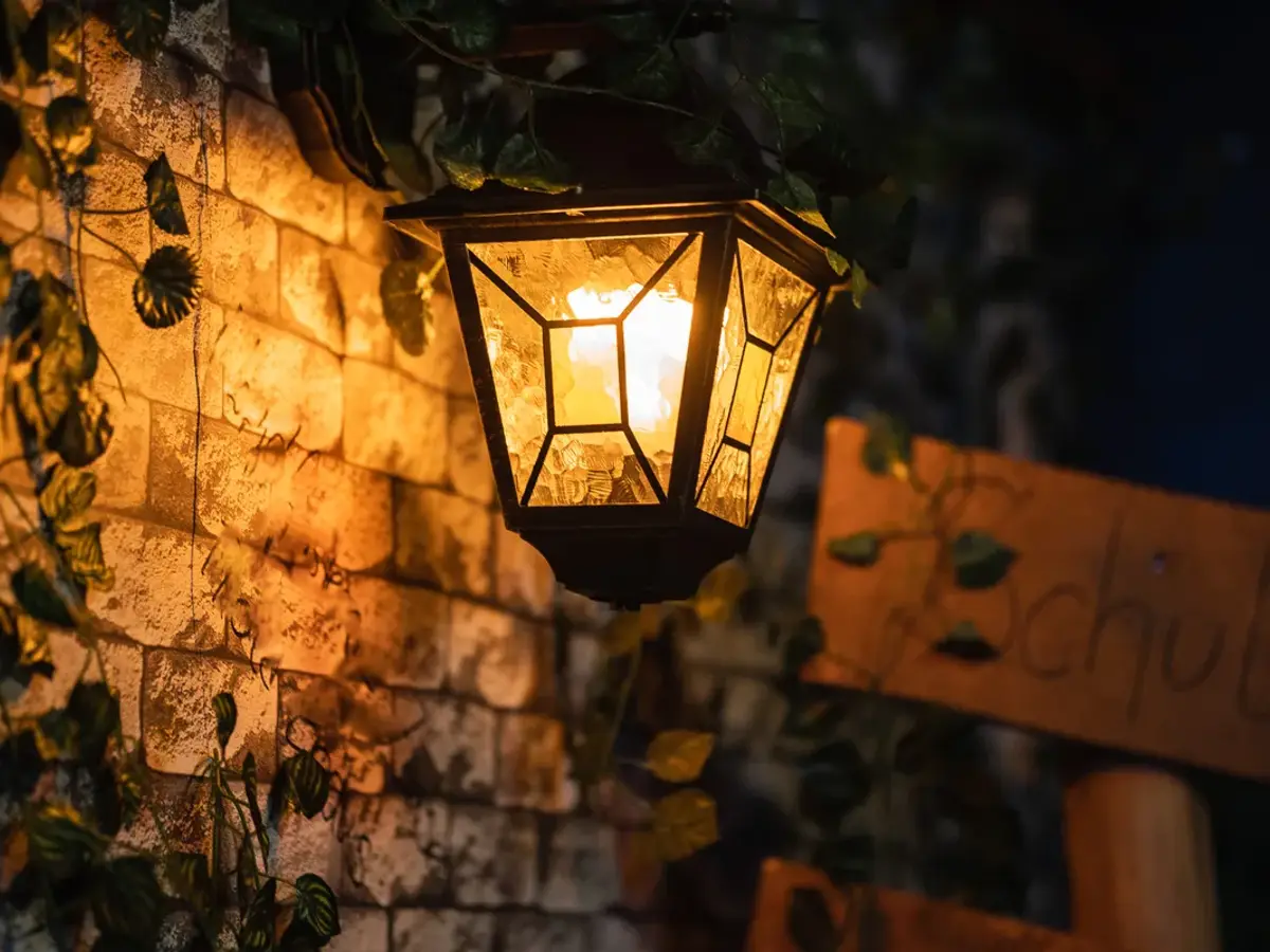 Der verbotene Wald — Escape Room bei Riddle Rooms Halle